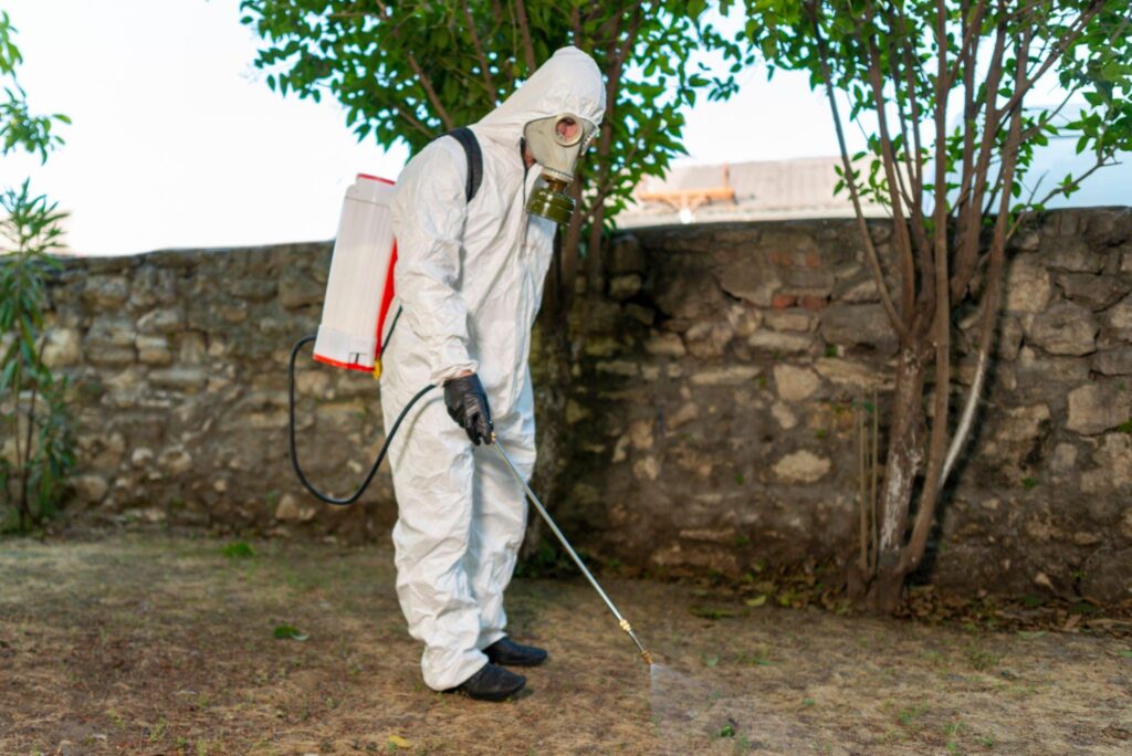 Budget-Friendly and Secure Professional Pest Control Solutions