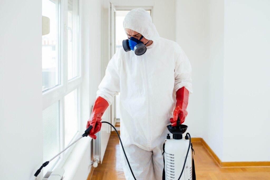 Budget-Friendly and Secure Professional Pest Control Solutions